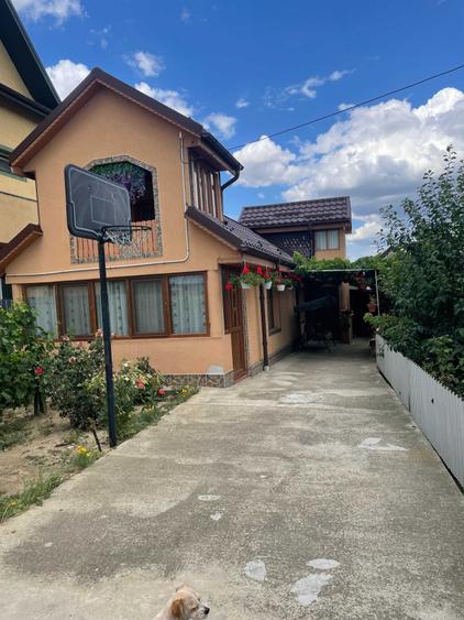 Casă cu 4 camere în Topliceni