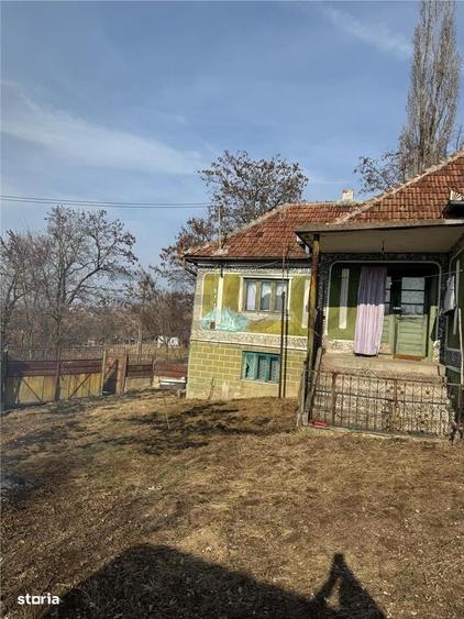 Casă cu 4 camere cu Teren 6240 Mp în Valea Crișului
