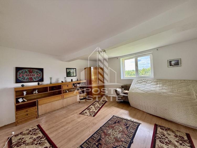 Casa individuala, teren 4000 mp, Cebza - 7