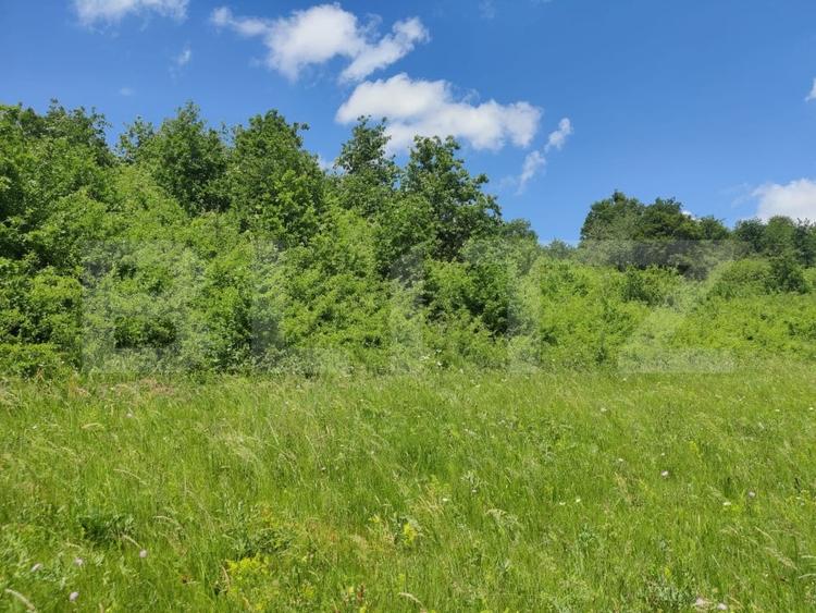 Teren agricol extravilan de 28500 mp, în Gușterița