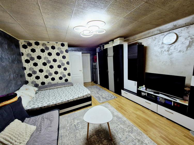 Persoana fizica vand apartament 1 camera in Dancu 37 mp - 13