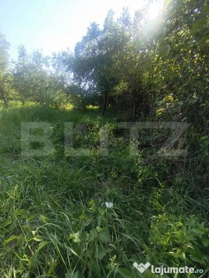 TEREN INTRAVILAN DE VANZARE - LUNCA MURESULUI 700 MP - 6
