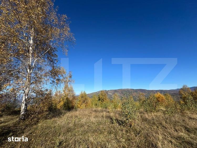 Teren de 17183 mp, în Boș