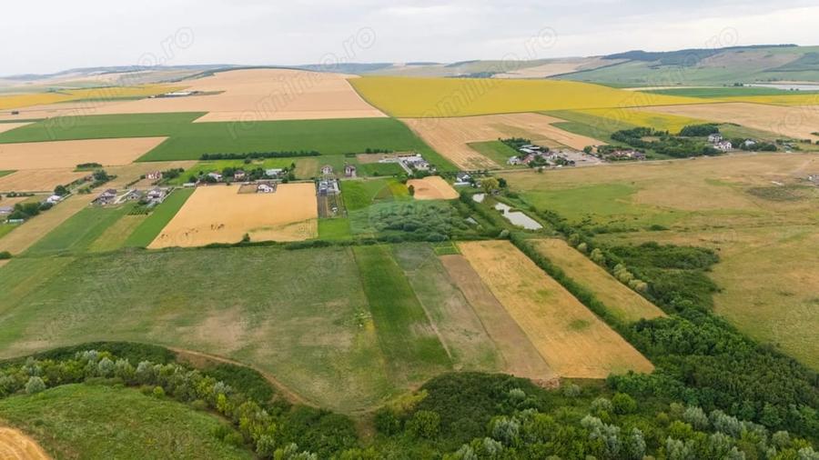 Teren de 10000 mp, în Todirești