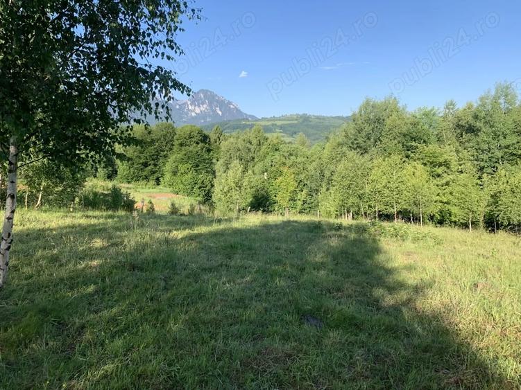 Teren de 4069 mp, în Poiana Mărului
