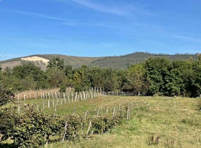 Casă individuală cu 3 camere cu Teren 1700 Mp în Țapu
