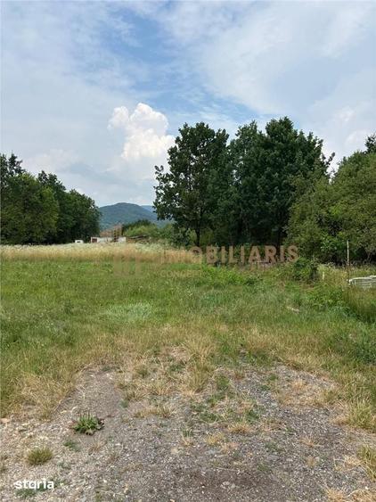 Apartament cu 2 camere decomandat în Valea Borcutului