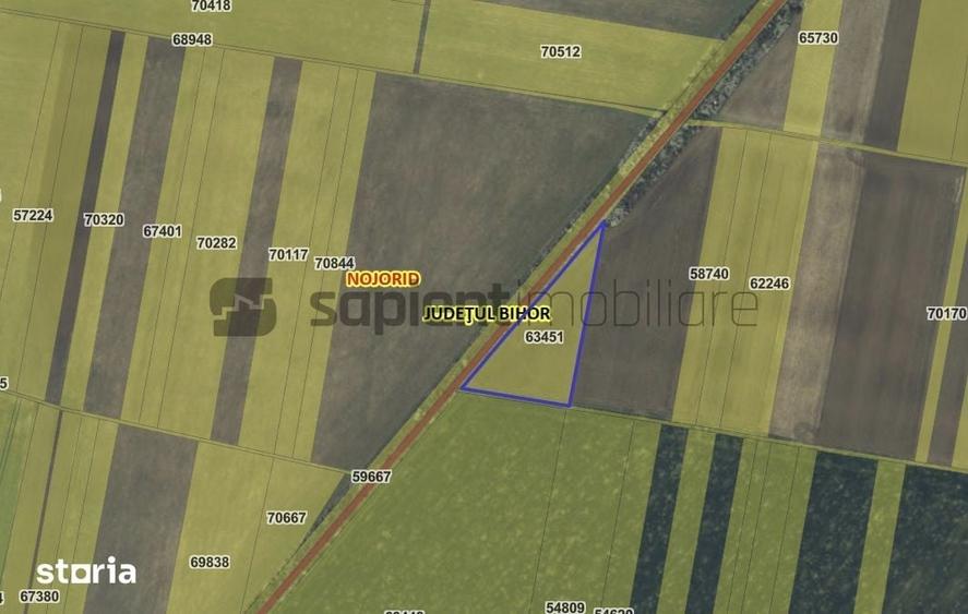 Teren de 8006 mp, în Nojorid