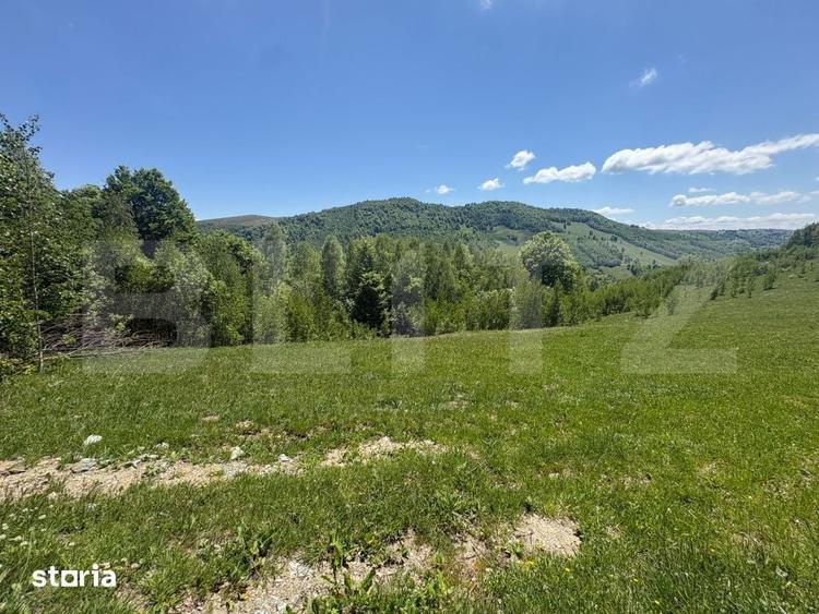 Teren de 1000 mp, în Băișoara