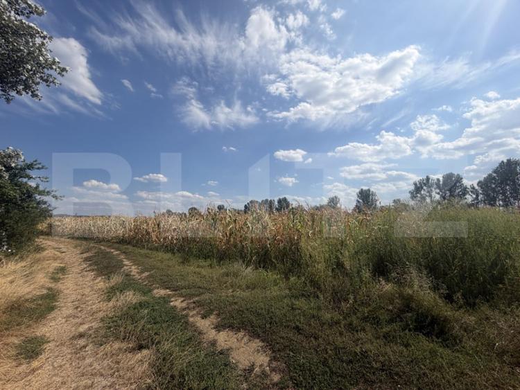 Teren de 9000 mp, în Nușfalău