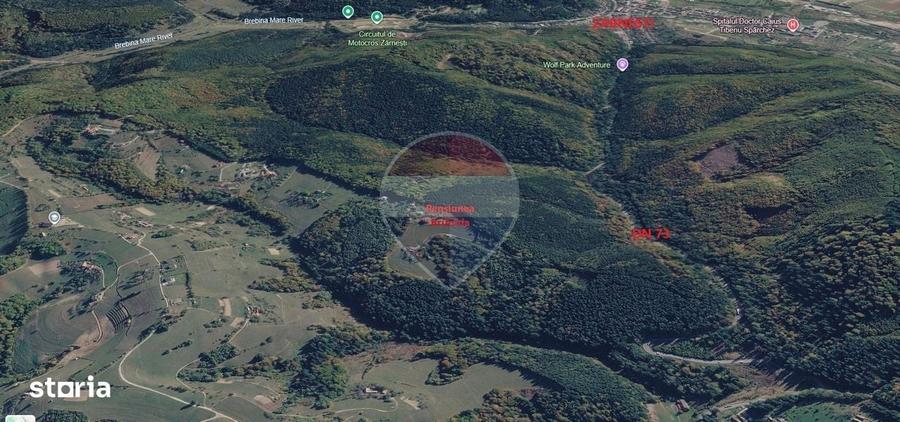 Teren extravilan Poiana Marului 1092mp, inconjurat de padure - 2