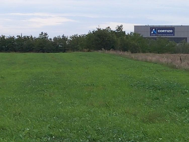 Teren agricol intravilan de 10000 mp, în Bolintin-Deal