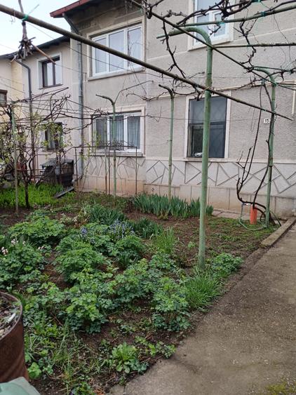 Casă individuală cu 5 camere cu Teren 150 Mp în Cantacuzino