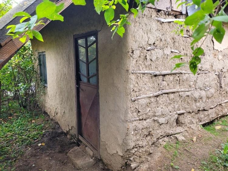 Casă cu Teren 2500 Mp în Putineiu