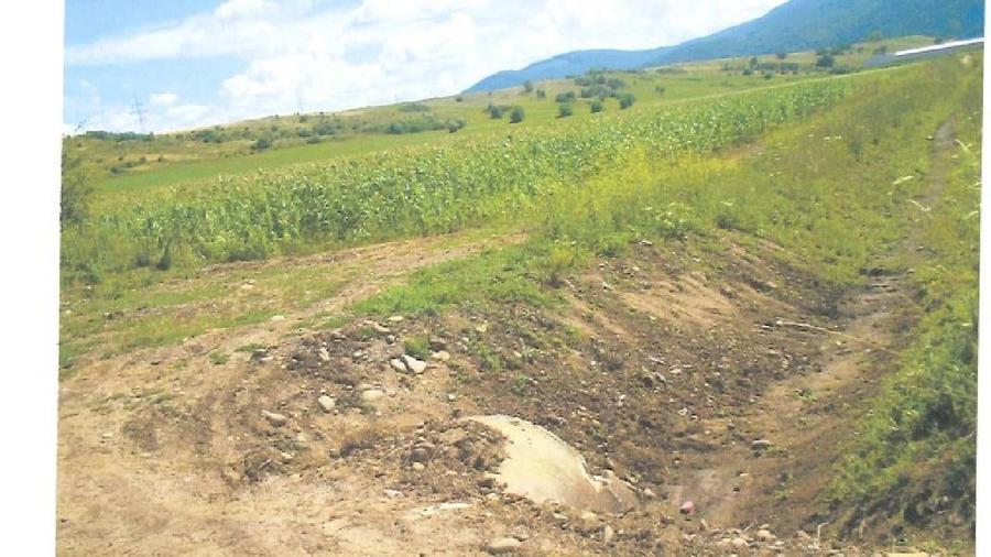 Teren agricol extravilan de 6900 mp, în Sud