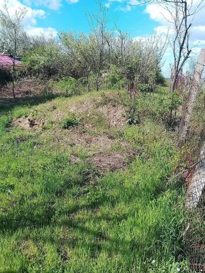 Vand un teren extratabular pe dealul Viilor in Oradea - 4