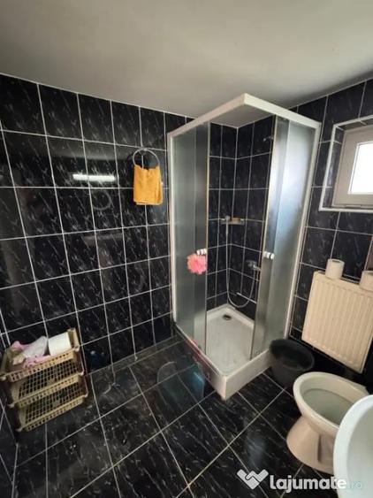 Casă cu 3 camere cu Teren 3300 Mp în Coltău