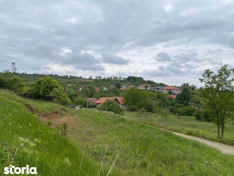 Teren de 867 mp, în Paleu