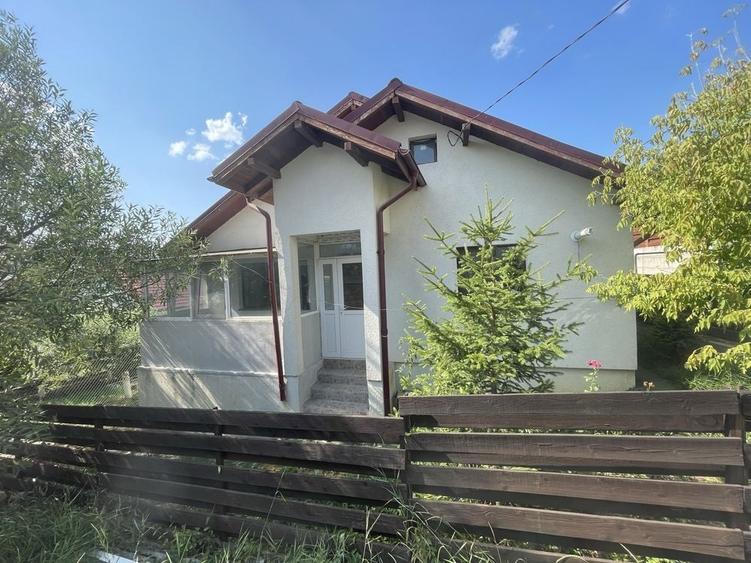Casă cu 3 camere în Alexandru cel Bun