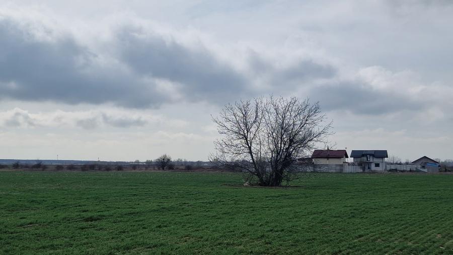 Teren Construcții intravilan de 13298 mp, în Săbăreni