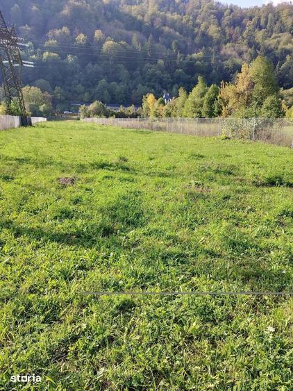 Teren de 2860 mp, în Pângărați