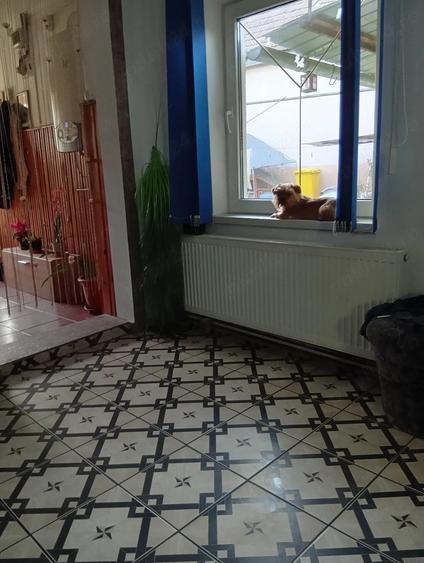 Casa singur in curte 2 camere Dumbraveni - 1