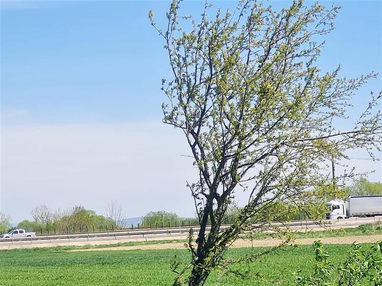 Teren agricol intravilan de 47.576999664307 mp, în Central