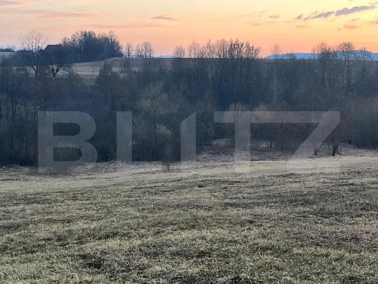 Teren Construcții intravilan de 27759 mp, în Horodnic