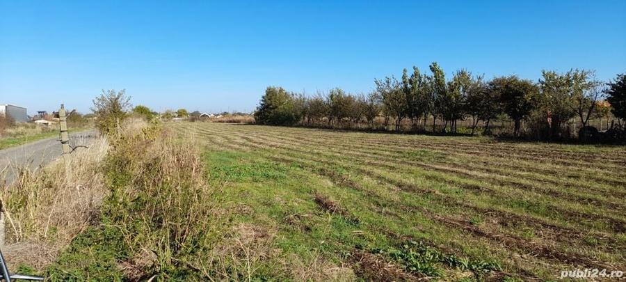 Teren de 4000 mp, în Cărpiniș