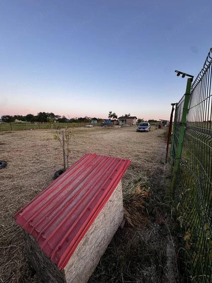 2 parcele a 477 mp Proprietar vand teren intravilan Tuzla, Constan?a langa Aeroport, Nubiru - 7