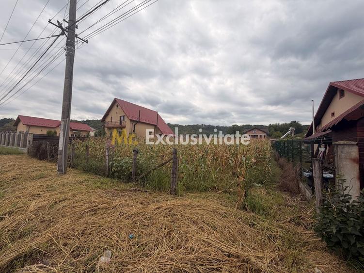 Teren Construcții intravilan de 1000 mp, în Băbana