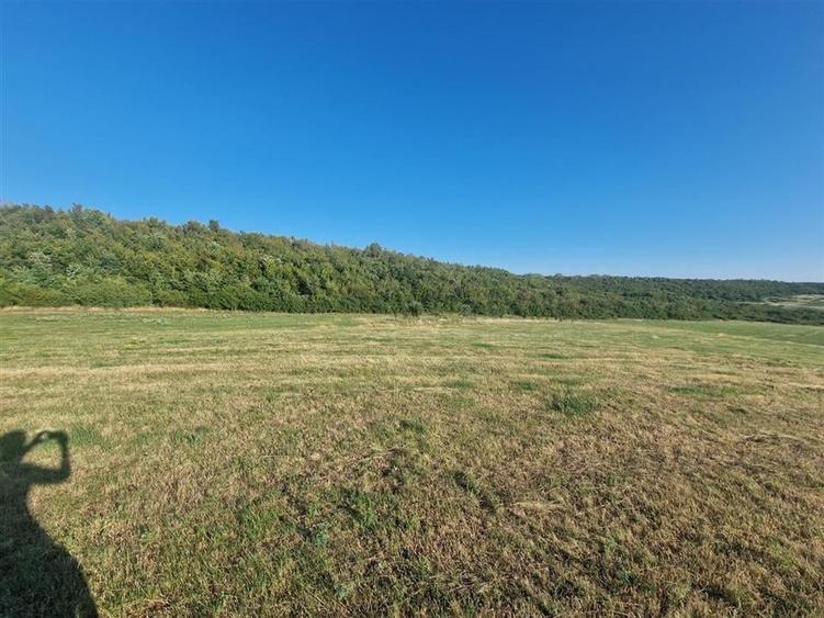 Teren Construcții intravilan de 13234 mp, în Betfia