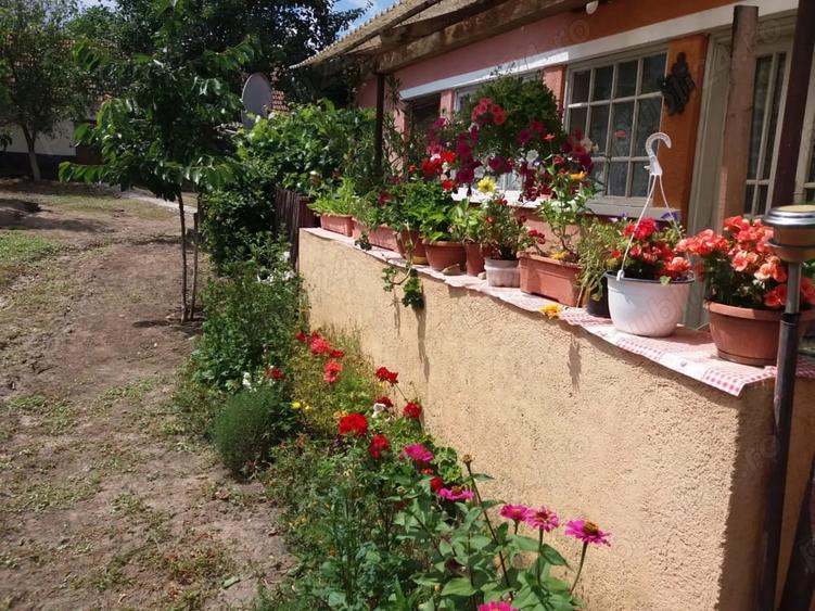 Casă cu 3 camere în Chegea