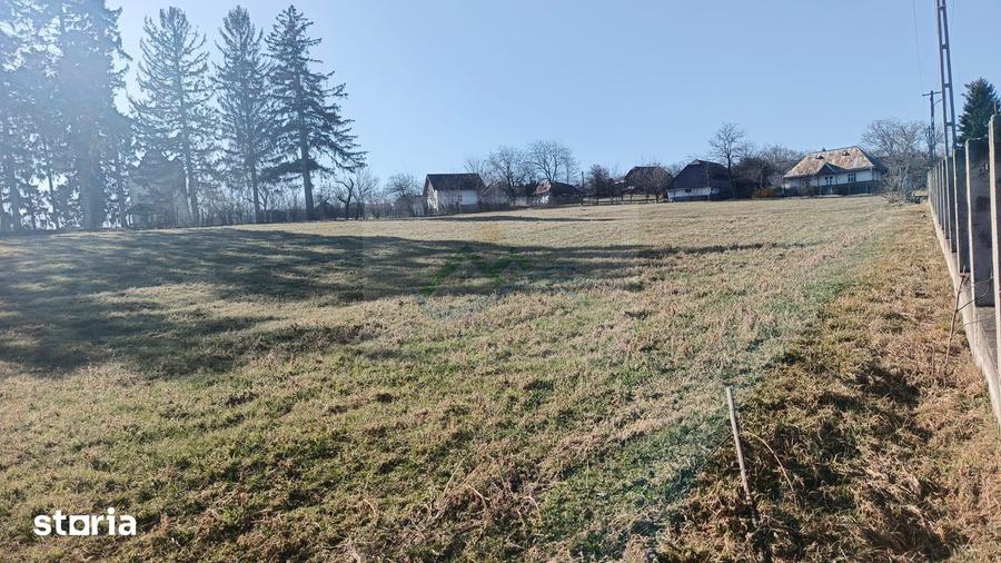 Teren de 4700 mp, în Brusturi