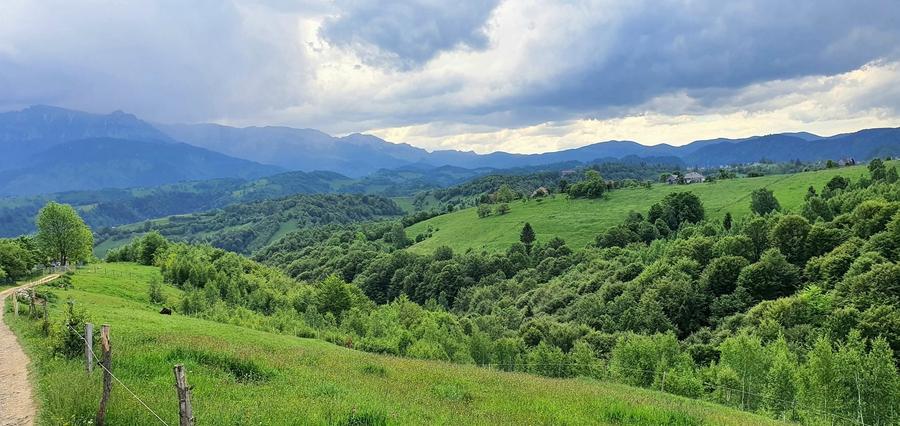 Teren Construcții extravilan de 2500 mp, în Peștera
