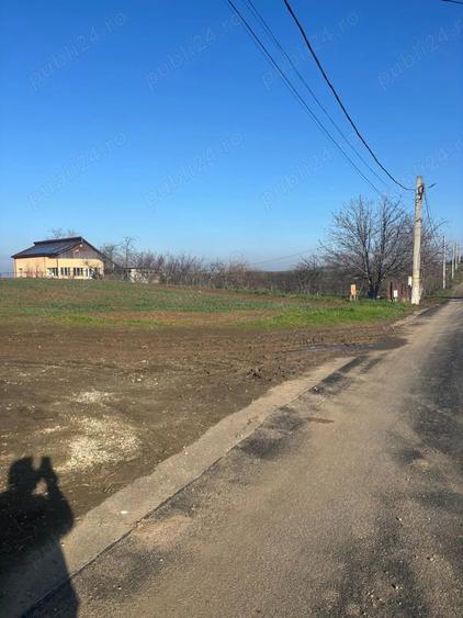 Teren de 5000 mp, în Glina
