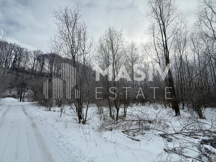 Teren Construcții intravilan de 6093 mp, în Piatra Arsă