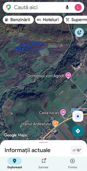 Teren de 10000 mp, în Bradu