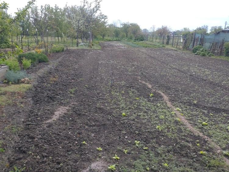 Casă individuală cu 2 camere cu Teren 3500 Mp în Corbii Mari