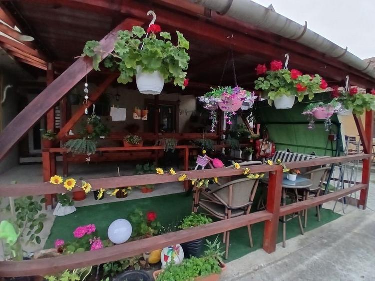 Casă cu 2 camere în Aradul Nou