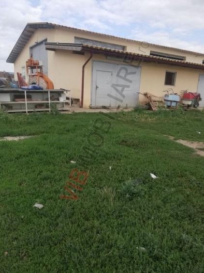 Ferma Zootehnică– Satchinez,  | 9,5 ha teren,vanzare sau schimb pentru jumatate - 10
