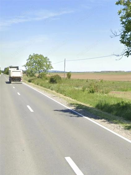 Teren de 3000 mp, în Sălard