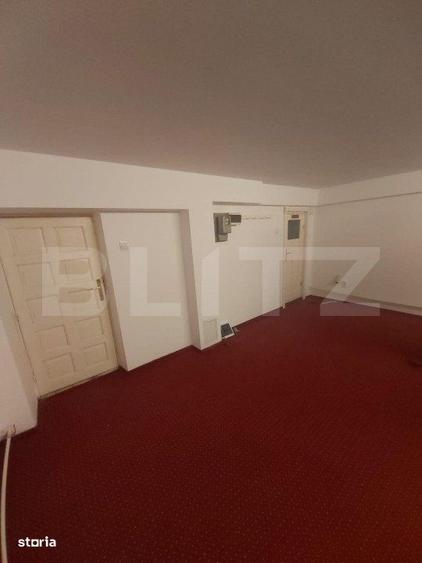 Spațiu comercial, de 100 mp, în Paltin