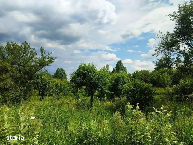 Casă cu 4 camere cu Teren 4914 Mp în Central