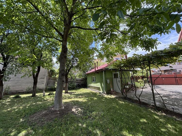 Casă individuală de vânzare în Turnișor | Curte superbă 585 mp - 21