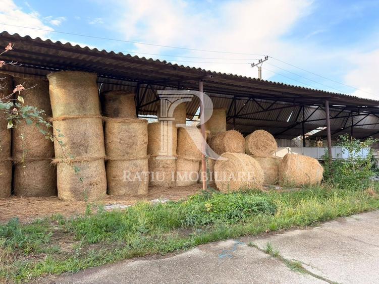 Spațiu industrial, de 8,000 mp, în Sărand