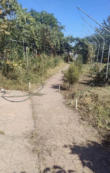 Teren de 580 mp, în Vânători