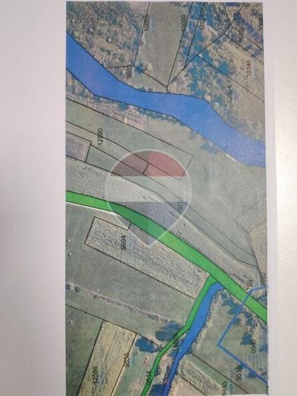 Teren Construcții intravilan de 3078 mp, în Rus