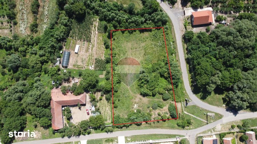 Teren de 2877 mp, în Pișchia