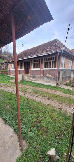 Casa de vanzare la tara - 4